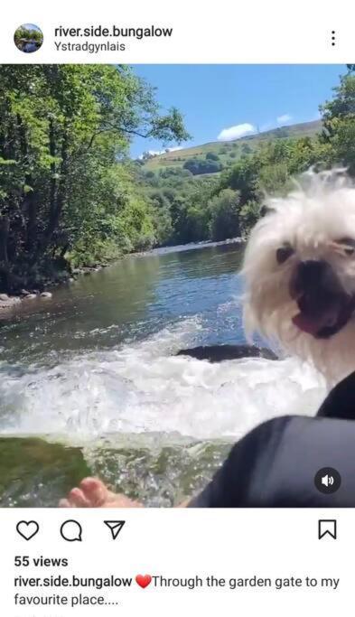 Riverside Bungalow - Direct River Access! Ystradgynlais Екстериор снимка