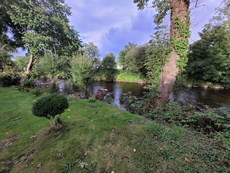 Riverside Bungalow - Direct River Access! Ystradgynlais Екстериор снимка